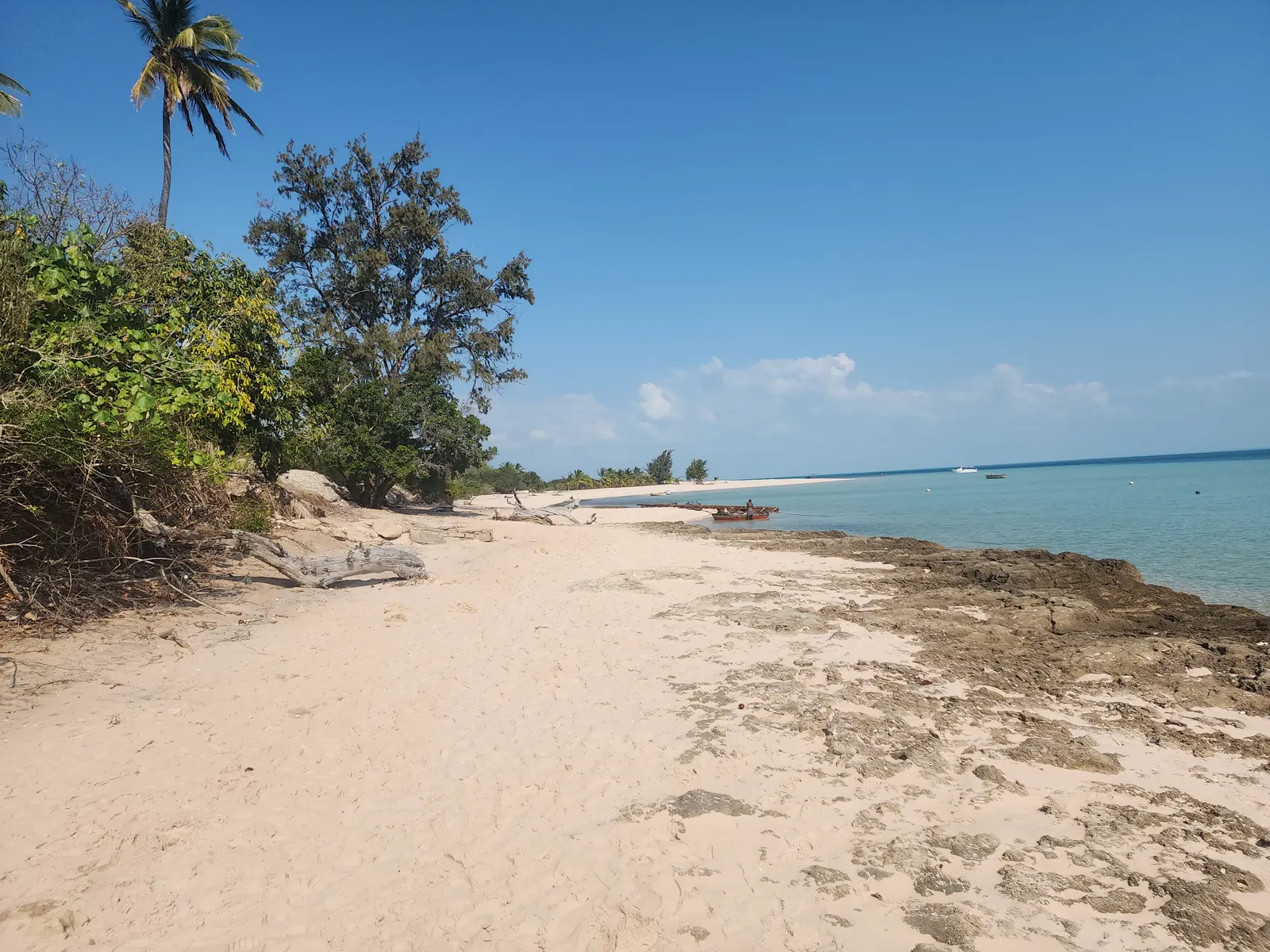 Magaruque Island — The beach and the island’s vegetation
