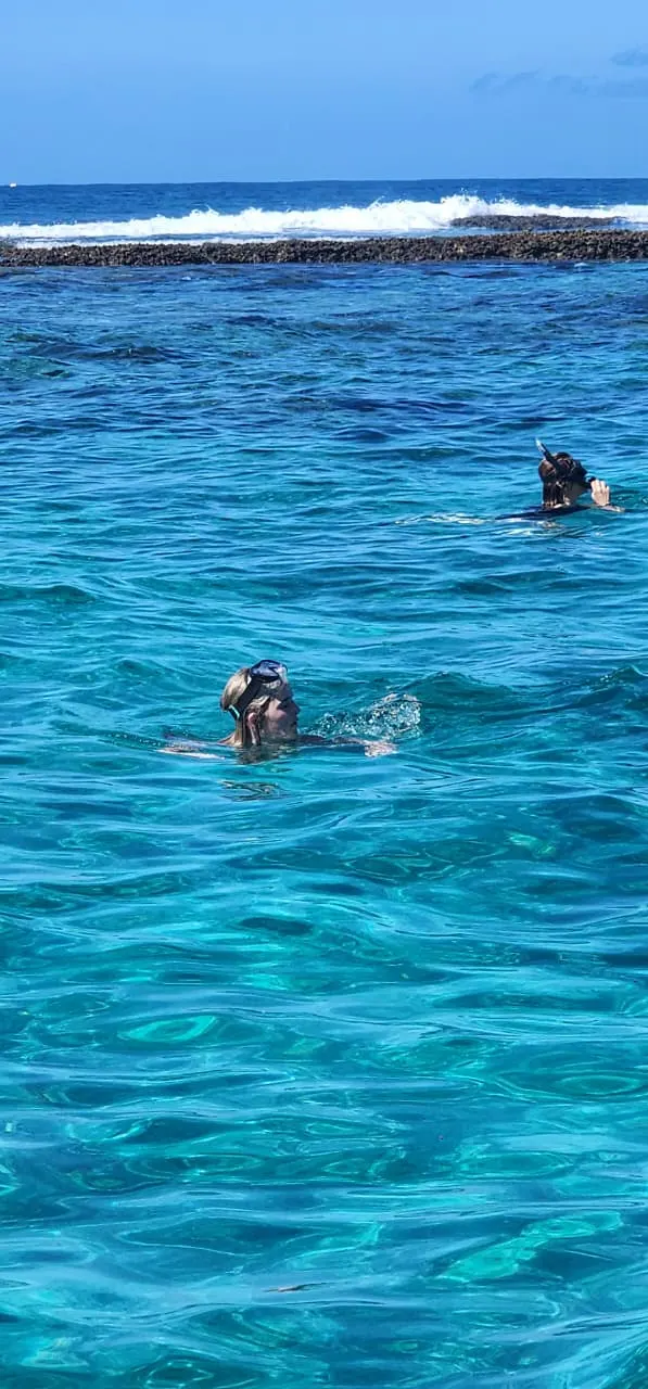 Two Mile Reef — Snorkelling over the reef