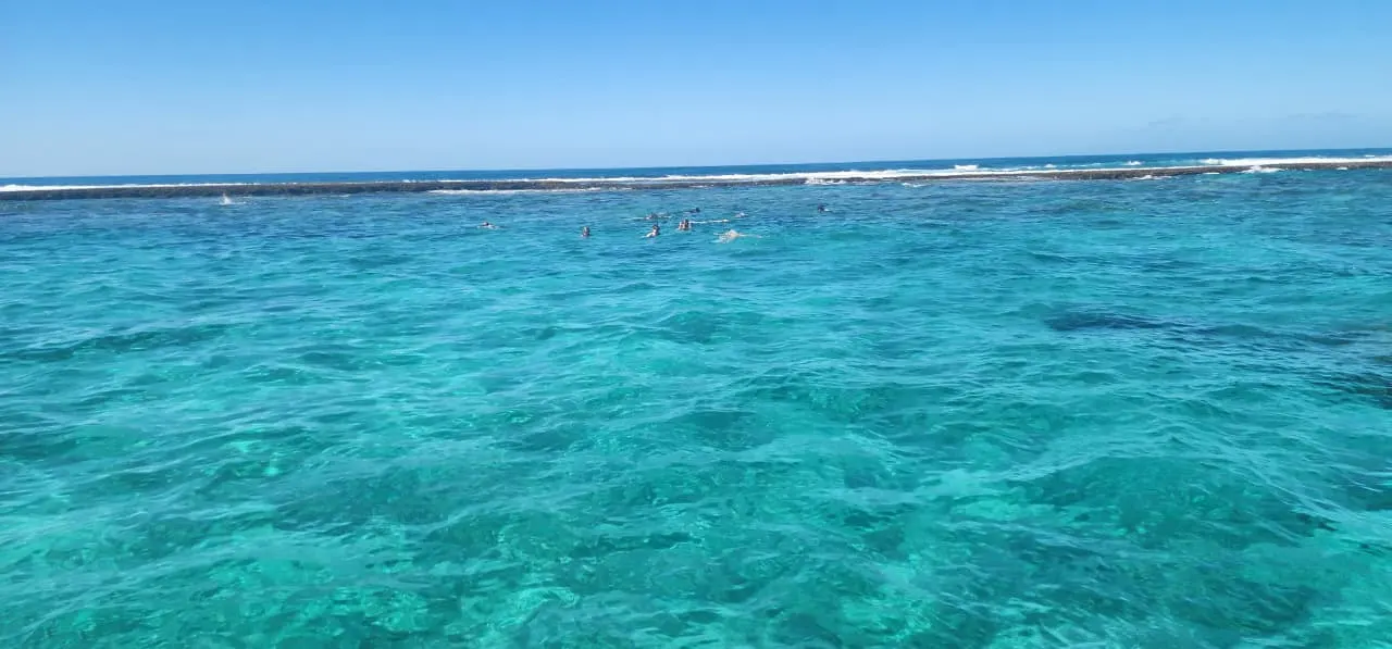 Two Mile Reef — Crystal-clear water over the coral