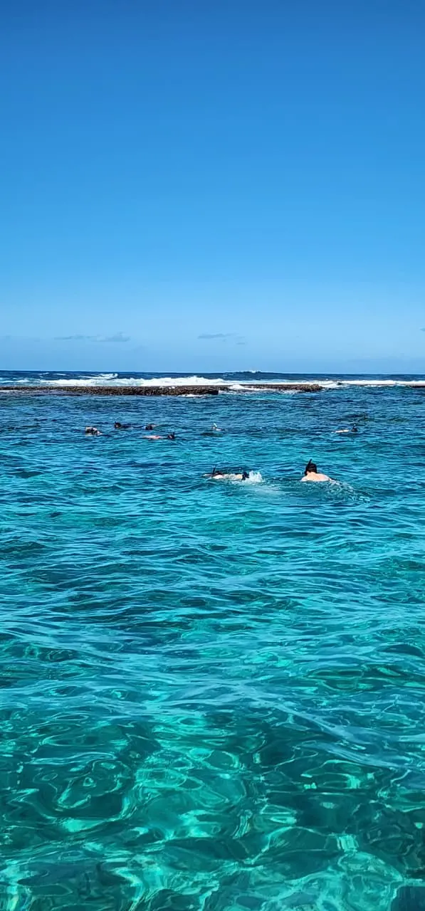 Two Mile Reef — A group exploring the reef